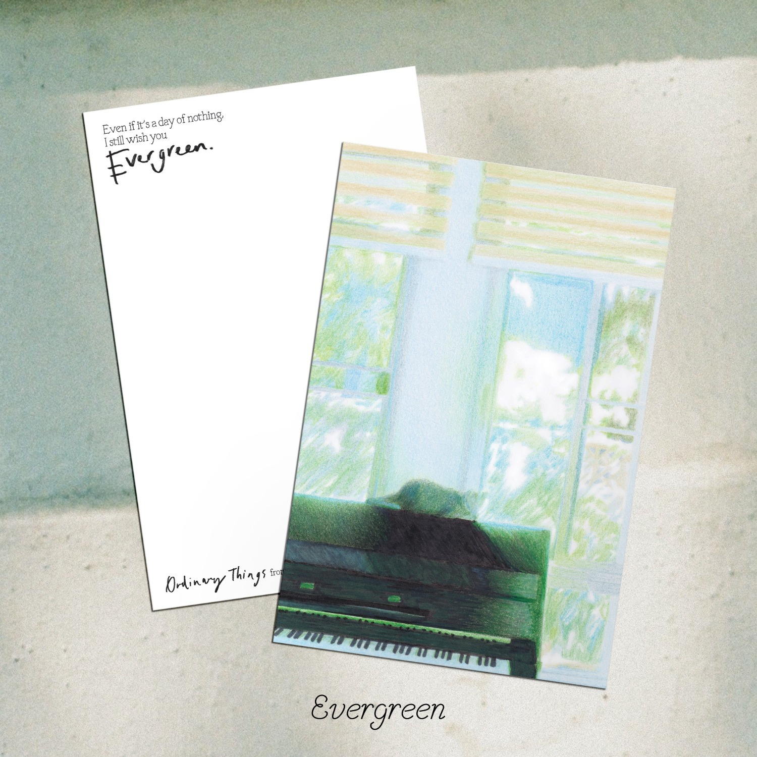 Evergreen Postcard
