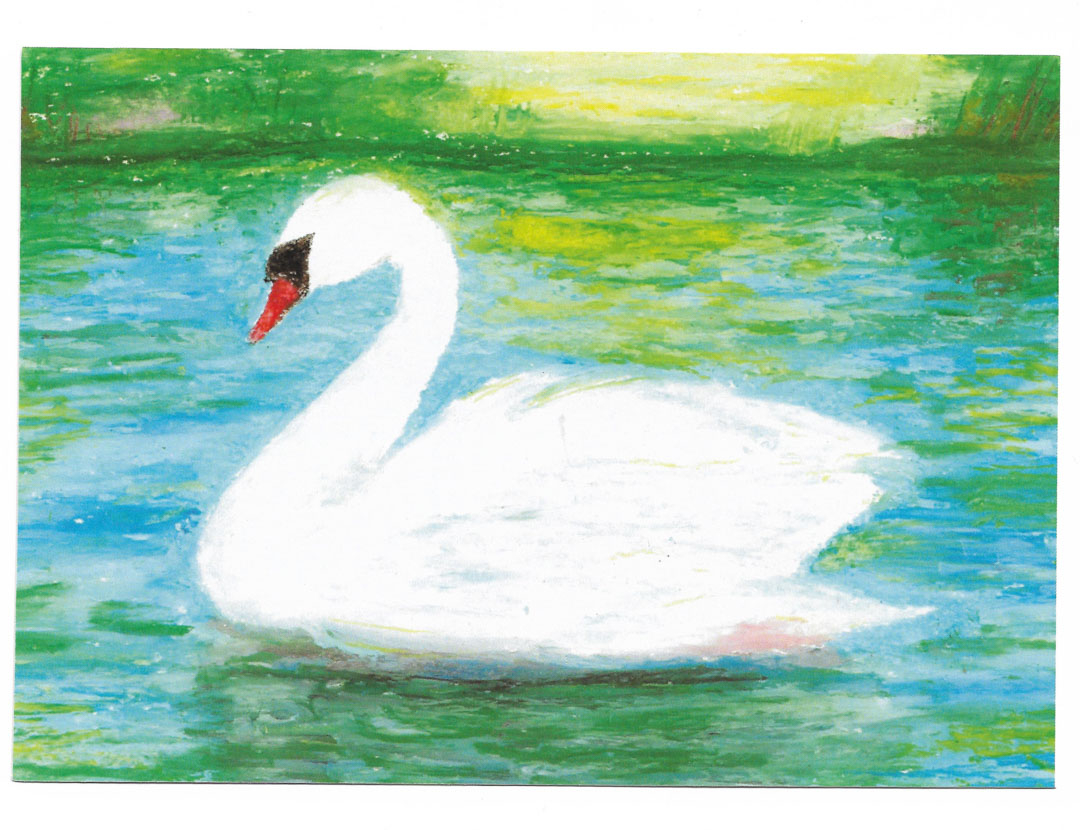 Postcard - Swan