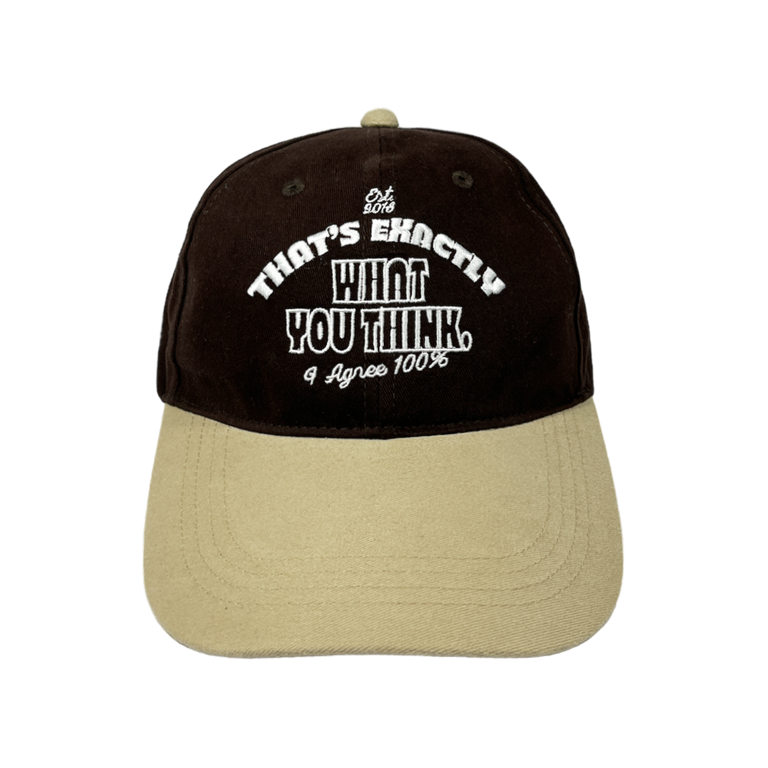 WHAT YOU THINK CAP (BROWN/BEIGE)