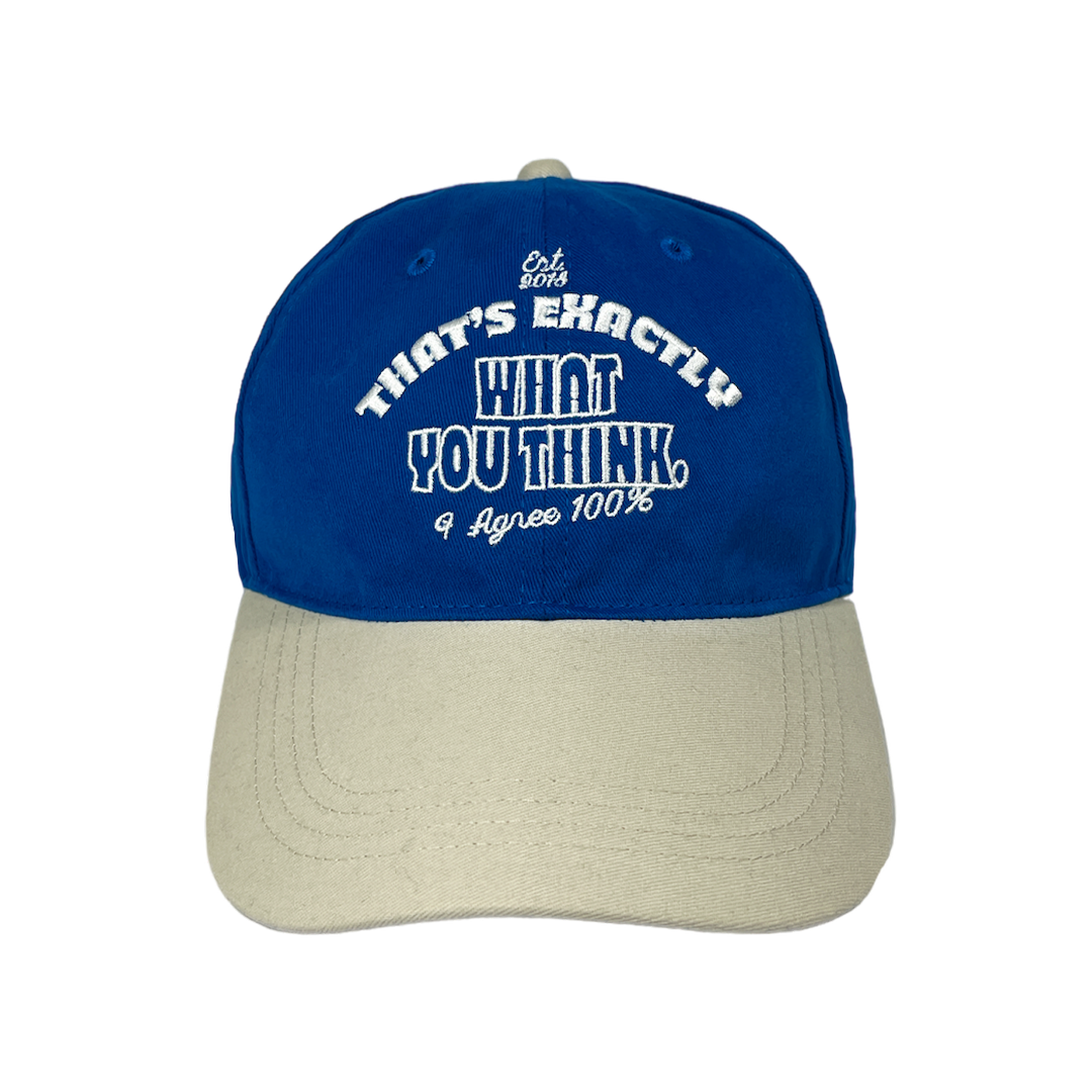 WHAT YOU THINK CAP (BLUE/BEIGE)