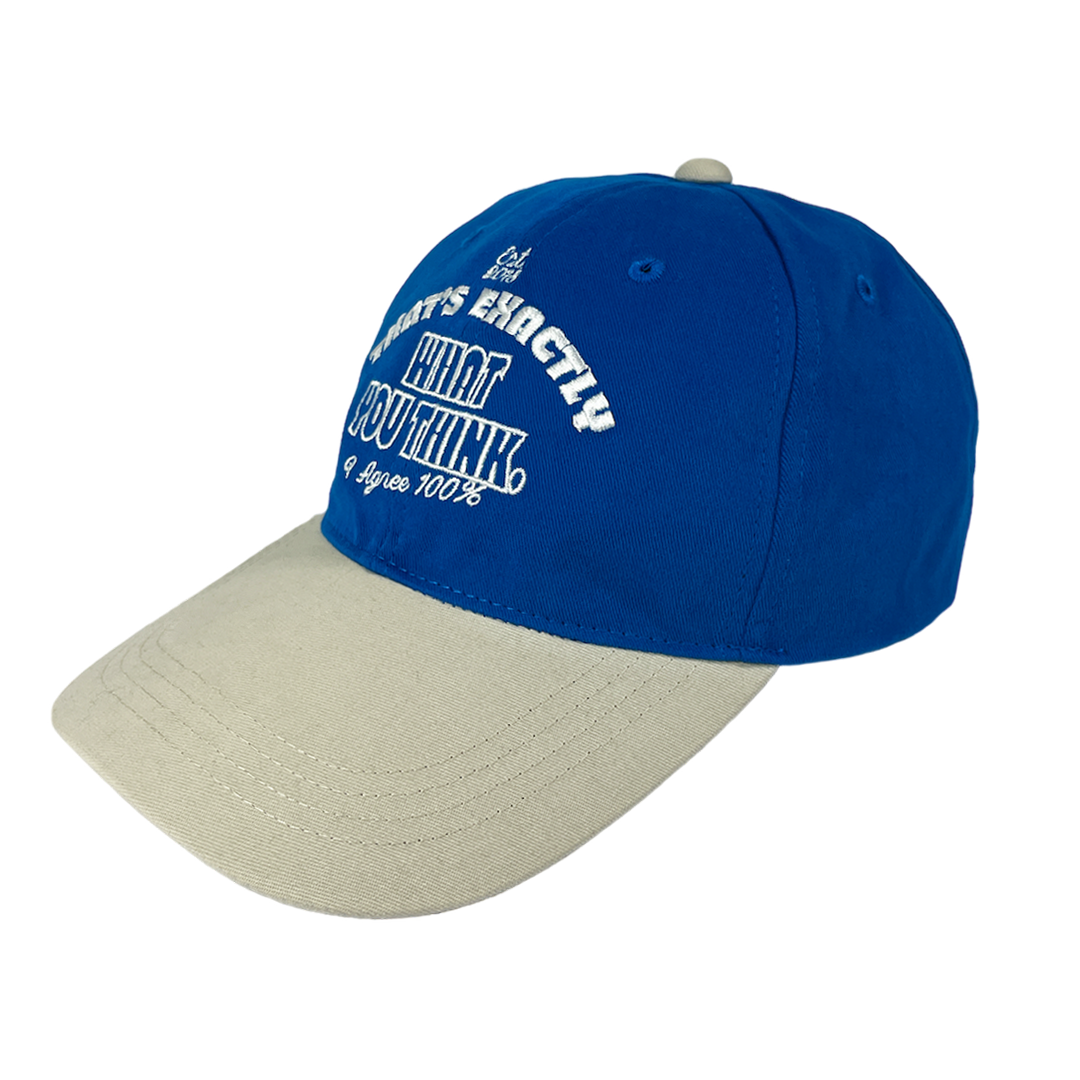 WHAT YOU THINK CAP (BLUE/BEIGE)