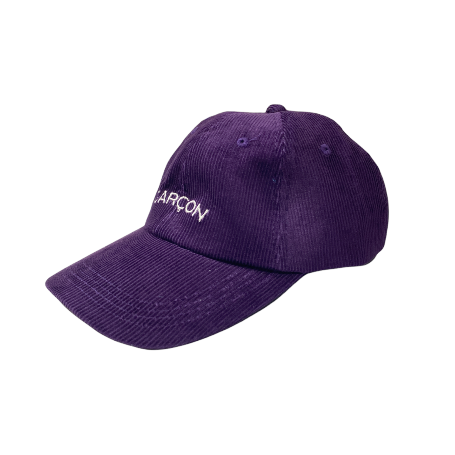 Garcon Cap (Purple)